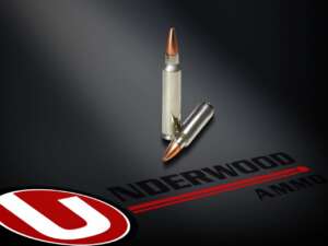 Underwood 223 REM  Ammunition UW422 62gr TSX® Hollow Point 20 rounds