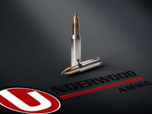 Underwood 308 WINCHESTER 180GR. UW505 TIPPED GAMEKING (TGK)® HUNTING AMMO