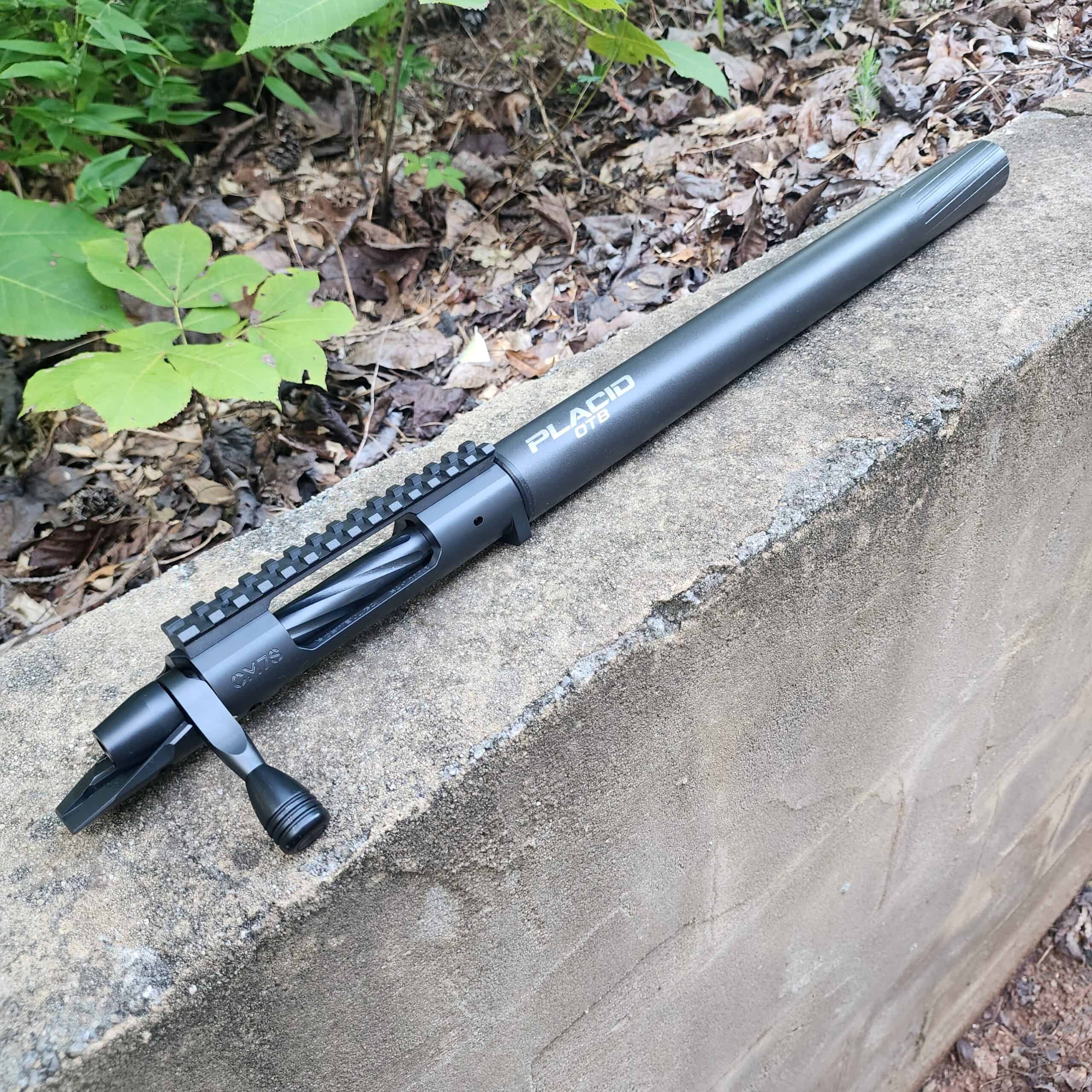 458 SOCOM Suppressed Barreled Action – Powerful PLACID OTB
